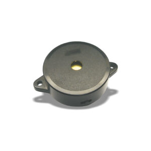PM 5 Buzzer